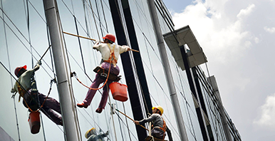 What items should the fall arrester be checked regularly 